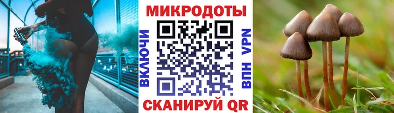 где купить наркотик  Красавино  Галлюциногенные грибы мухоморы 