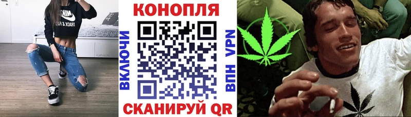 Каннабис SATIVA & INDICA Красавино